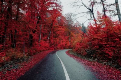 Nature's Seasons