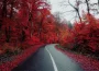 Nature's Seasons