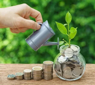 Wealth building