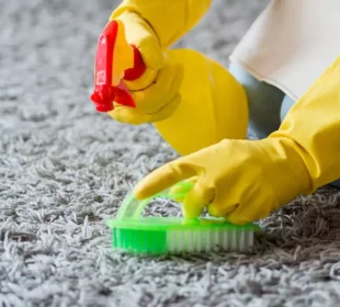 Carpet Cleaners