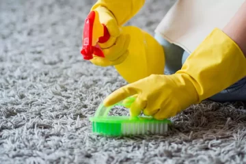 Carpet Cleaners