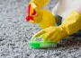 Carpet Cleaners