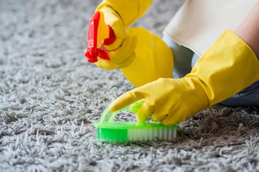Carpet Cleaners