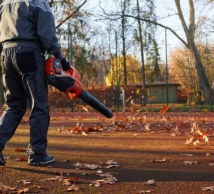 Leaf Blowers