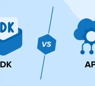 SDKs and APIs 2025